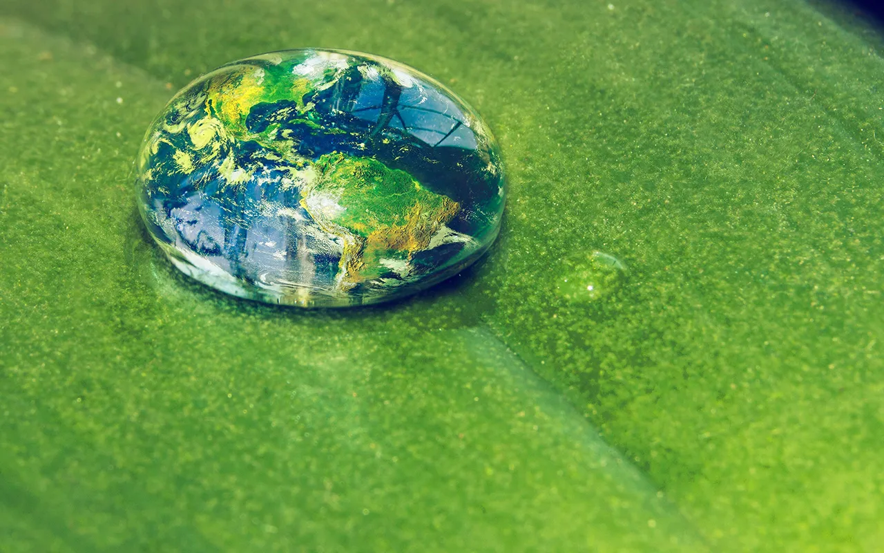 Titelmotiv des Nachhaltigkeitsberichts von Engagement Global
