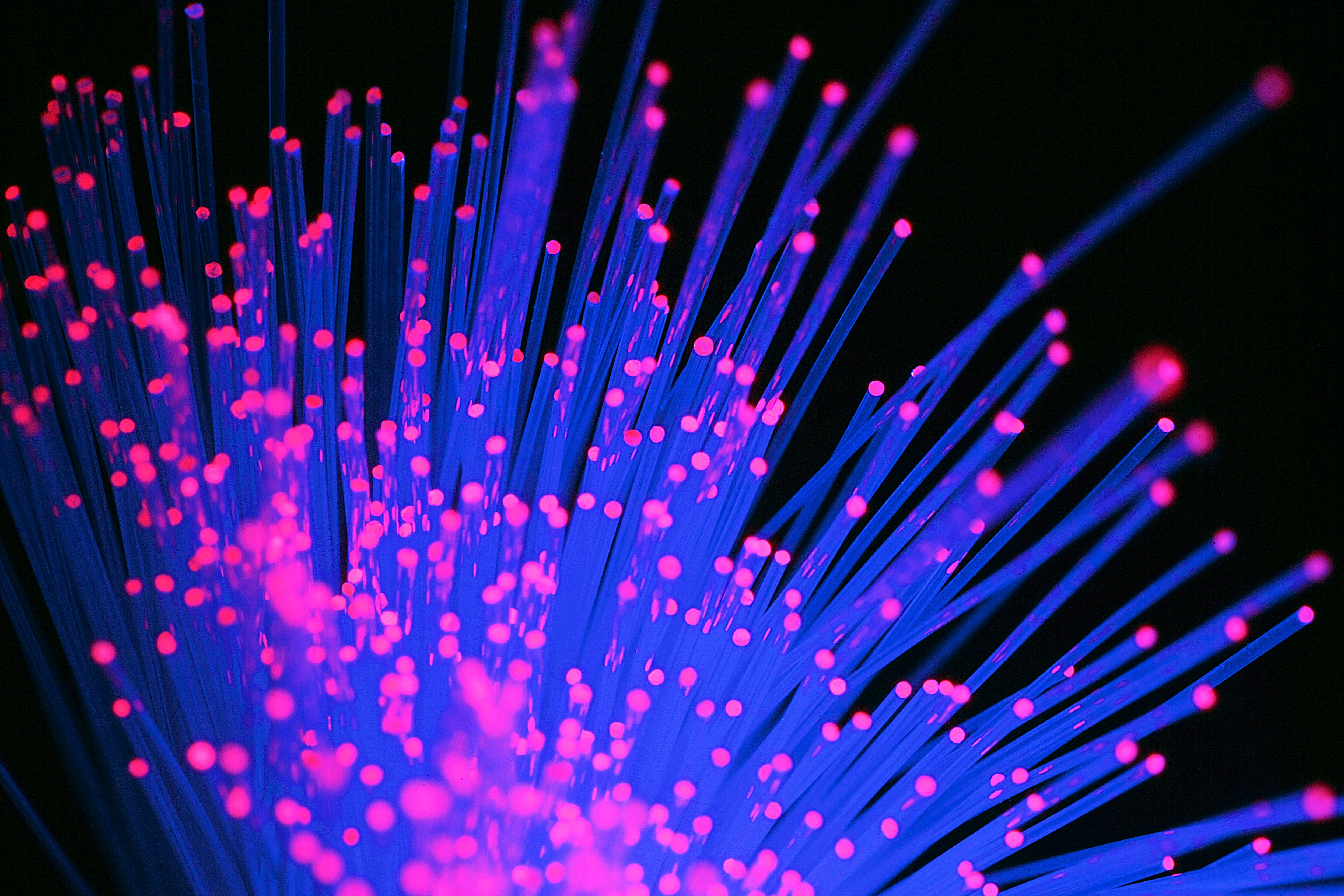 Leuchtende Glasfaserkabel in Blau und Pink