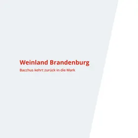Seite 3 der Broschüre