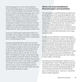 Seite 17 der Broschüre