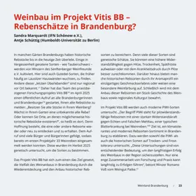Seite 23 der Broschüre