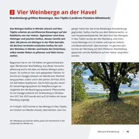 Seite 45 der Broschüre
